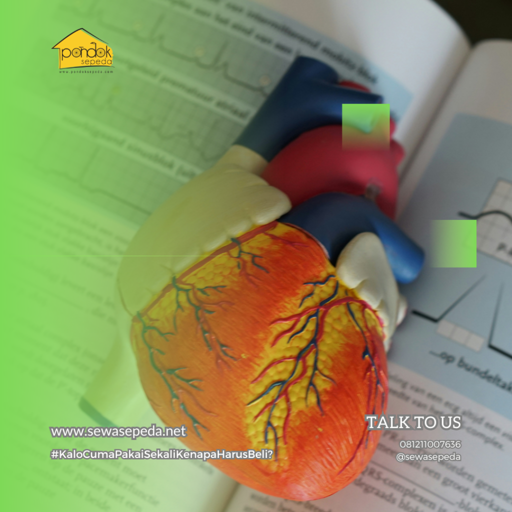 manfaat olahraga secara teratur adalah