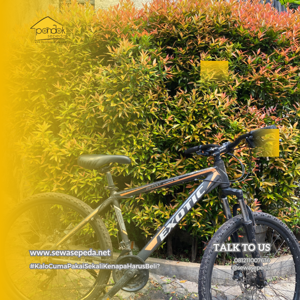 Sewa Sepeda Kecamatan Jagakarsa di Indonesia