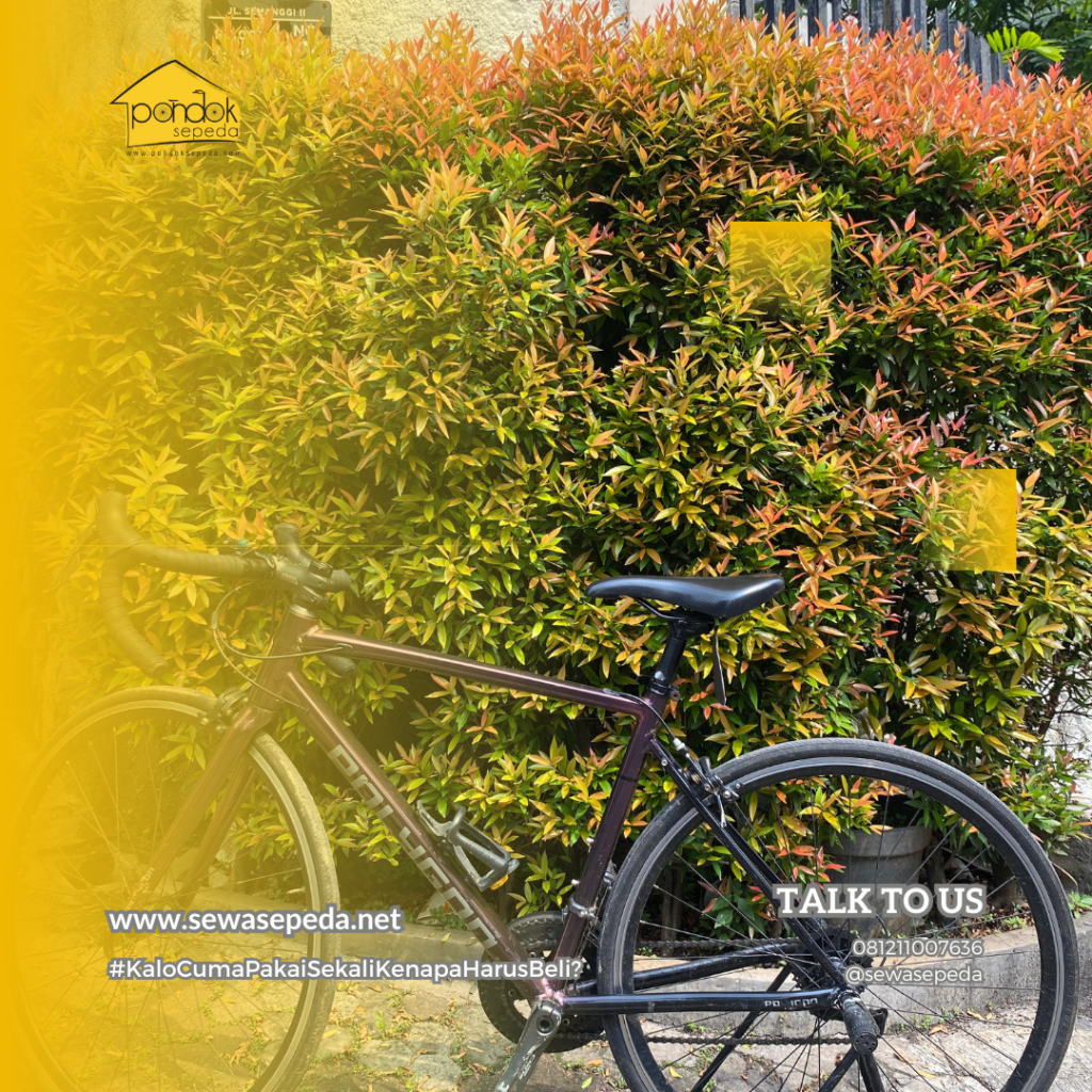Sewa Sepeda Kecamatan Johar Baru di Indonesia